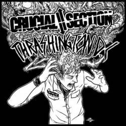 Crucial Section : Crucial Section - Thrashington DC